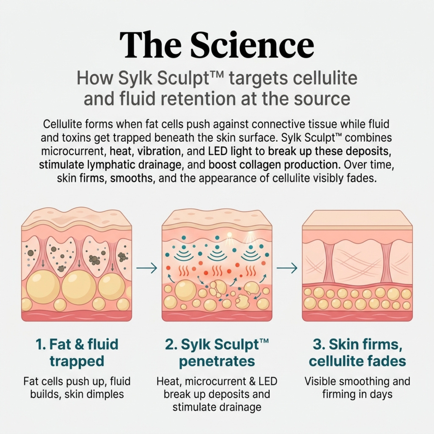 Sylk Sculpt™