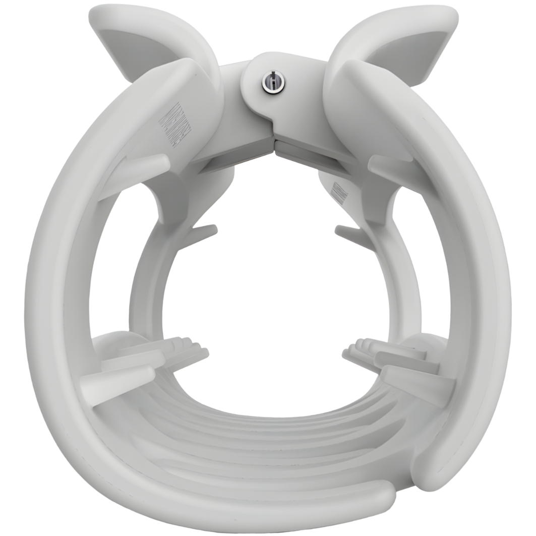 Clippa™ – The No-Pain, All-Gain Hair Clip