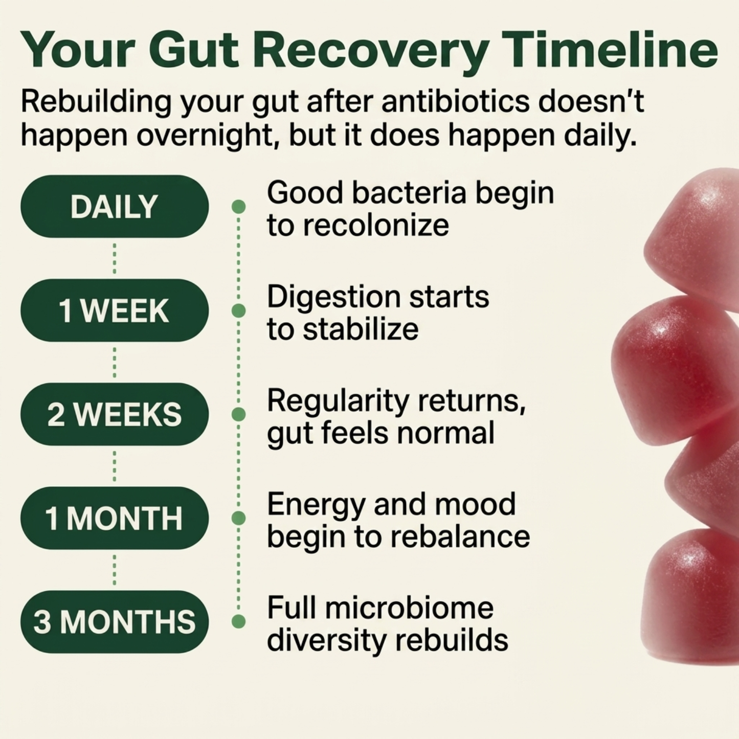 Post-Antibiotic Gut Recovery. In One Gummy.