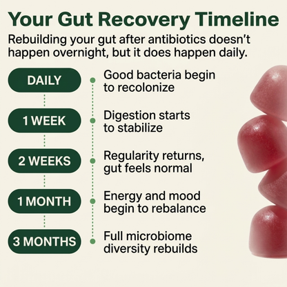 Post-Antibiotic Gut Recovery. In One Gummy.
