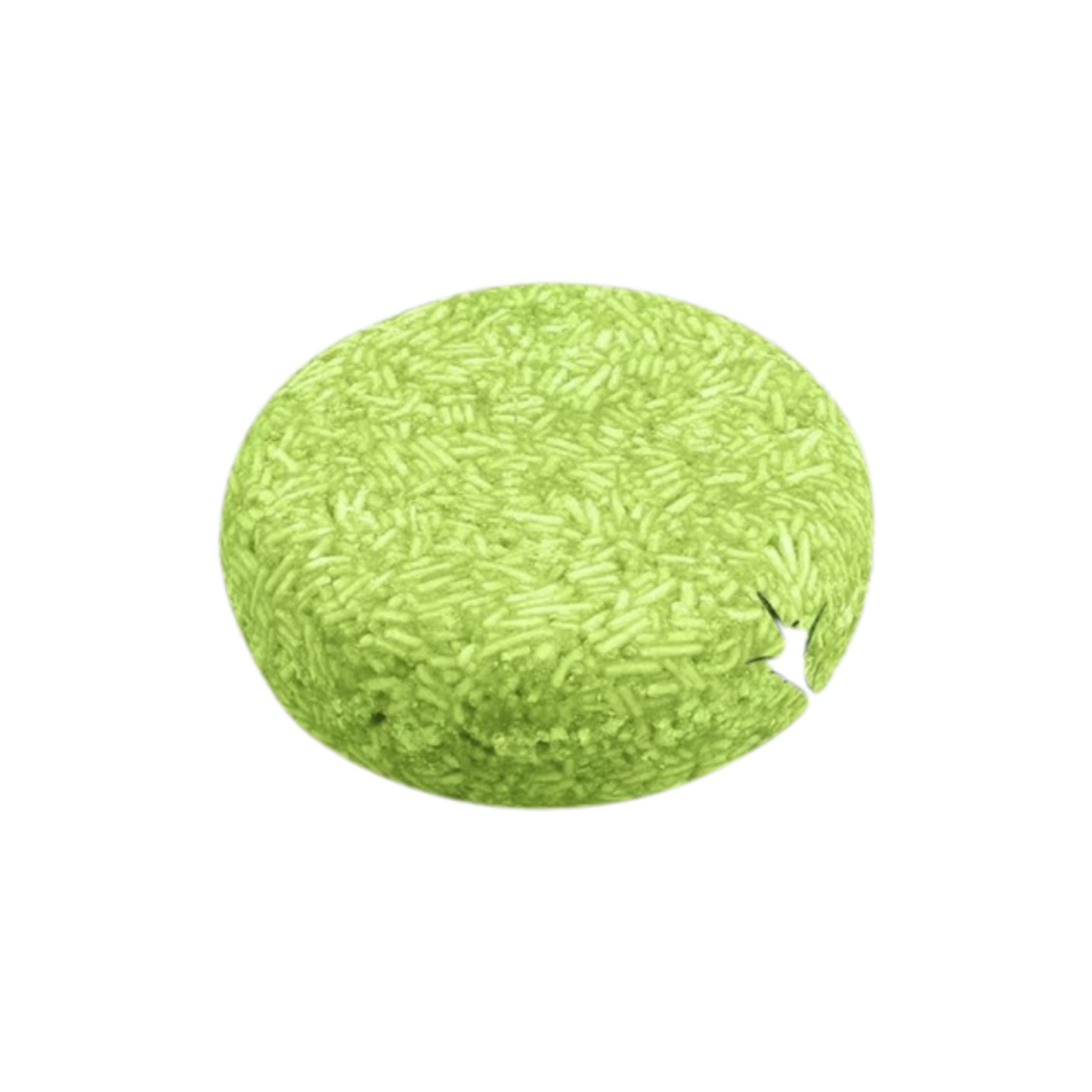 Mini Tea Tree Shampoo
