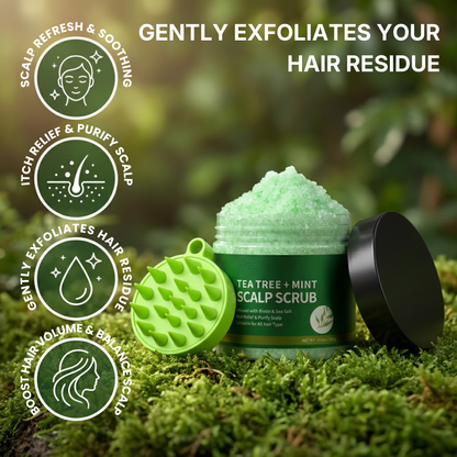 TeaMint Scalp Reset